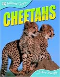 Cheetahs (Animal Lives)