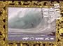 SECOND TO NONE Surfing DVD
