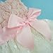 Fitwarm Pink Rose Lace Pet Dog Wedding Dress Bride Formal Clothes Tutu Vest, X-Small