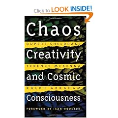 Chaos, Creativity and Cosmic Consciousness