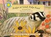 Badger At Sandy Ridge Road (Smithsonian Institution Collection)