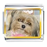 Shih Tzu Dog Animal Photo Italian Charms Bracelet Link