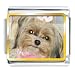 shih_tzu16shih tzu - Shih Tzu Dog Animal Photo Italian Charms Bracelet