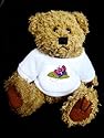 Teddy Bear mit Insekt, blau, Schmetterling, lächelnd, rosa t-shirt