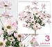 Three 23" Cosmos Artificial Flowers Silk Plants for Home Decoration