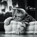 Cats 2014 Brosch�renkalender