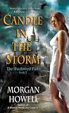 Candle in the Storm: The Shadowed Path   Book 2
