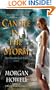 Candle in the Storm: The Shadowed Path Book 2