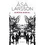 Aurora boreal de �sa Larsson