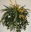 GIANT Mixed River Fern, Orchid, Spider Plant & Philodendron
