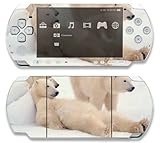 Polar Bear Family Time Decorative Protector Skin Decal Sticker for Sony Pla ....
