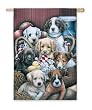 Cuddly Puppy Silk Reflections Regular Size Flag