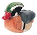 Wood Duck