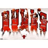 Bulls - Team 2011 Poster Poster Print, 34x22
