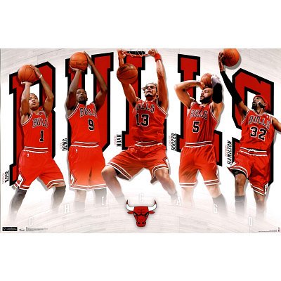 Bulls - Team 2011 Poster Poster Print, 34x22