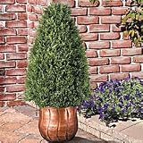Cone Artificial Topiary - Improvements