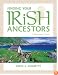 Finding Your Irish Ancestors: A Beginner's Guide