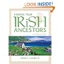 Finding Your Irish Ancestors: A Beginner's Guide