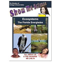 Ecosystems - The Florida Everglades