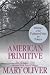 American Primitive