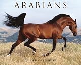 Arabians 2010 Calendar