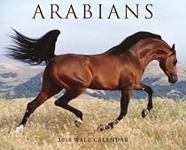 Arabians 2010 Calendar