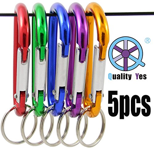 Top 5 Best d ring keychain for sale 2016 BOOMSbeat