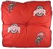 Ohio State - Floor Pillow - Big 10 Conference