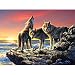 Search : Wolves at Sunset Jigsaw Puzzle 1000 Piece