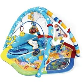 Baby Einstein Discovering Water Gym