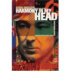 Harmony In My Head: The Original Buzzcock Steve Diggle's Rock n' Roll Odyssey