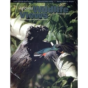 Arizona Wildlife Views by 