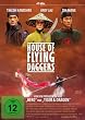 House of Flying Daggers