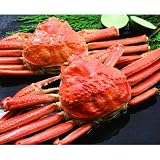 内山水産・網走水揚げずわいがに2尾（55）[]