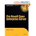 Pro Novell Open Enterprise Server
