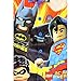 Lego DC Super Heroes Boys Flannel Pajamas