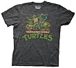 Mens Teenage Mutant Ninja Turtles Group T-shirt