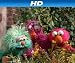 Where's the Itsy Bitsy Spider? Episode 4226 [HD]