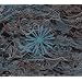 Abyss (Ocrd)
