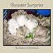 Hamster Surprise