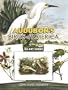 Audubon's Birds of America: 24 Art Cards (Card Books)
