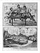 Historic Print (XL): [California Gold Rush, ca. 1850: (2 scenes) The Dream of a Prospecting Miner - Miners We