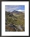 Moss Covered Lava Beds Surround Snaefellsjokull, on the Snaefellsnes Peninsula, Iceland Scenic Framed Art Poster Print by Neale Clarke, 18x22