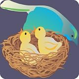 Mommy bird and her chicks