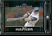 2007 Topps Chrome #55 Travis Hafner Cleveland Indians Baseball Card - Mint Condition - Shipped In Protective Display Case !