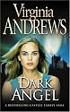 Dark Angel (Casteel Family 2)