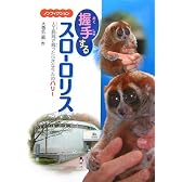 握手するスローロリス―人工飼育で育った小さなサルのハリー (文研ブックランド)