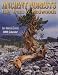 Book Ancient Forests 2009 Calendar