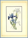 Dutch Iris Cross Stitch Pattern From Original Watercolors by Janet Powers