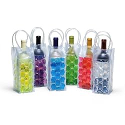 6 Assorted: Plastic Chiller Bags